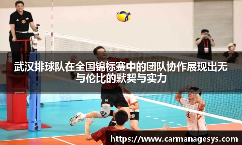 武汉排球队在全国锦标赛中的团队协作展现出无与伦比的默契与实力