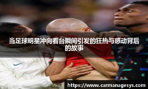 当足球明星冲向看台瞬间引发的狂热与感动背后的故事
